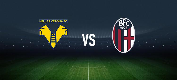 并列巨人队 并列巨人队